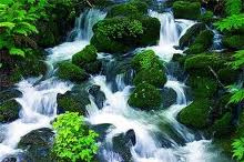 Lời Hay Ý Đẹp 