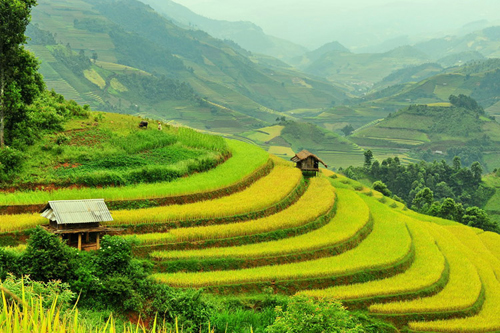 Nhạc Mùa Thu