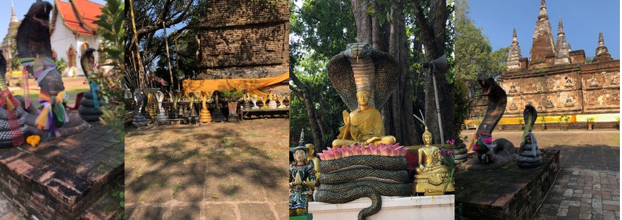 RanSaoKhue Chiangmai 1234