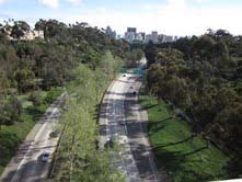 tu tren cau cabrillo 3