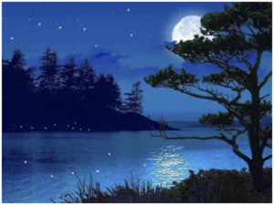 TrangLyBiet SaoKhue 3